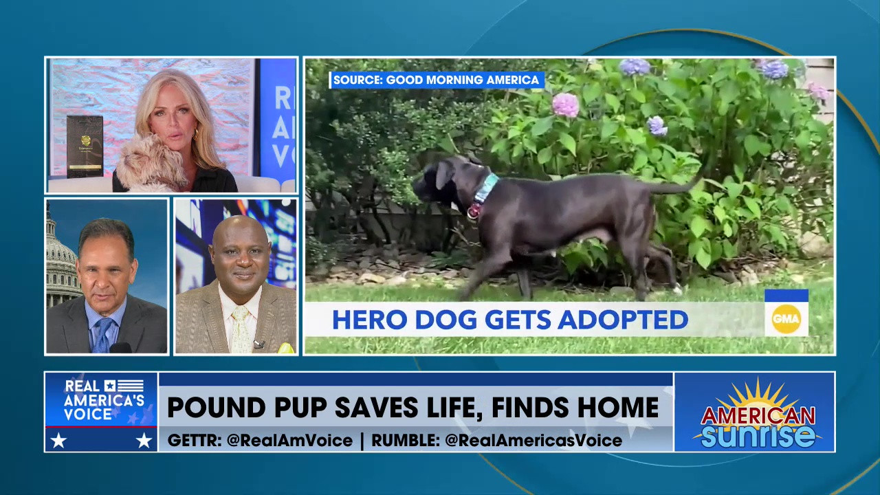 POUND PUP SAVES LIFE, FINDS HOME