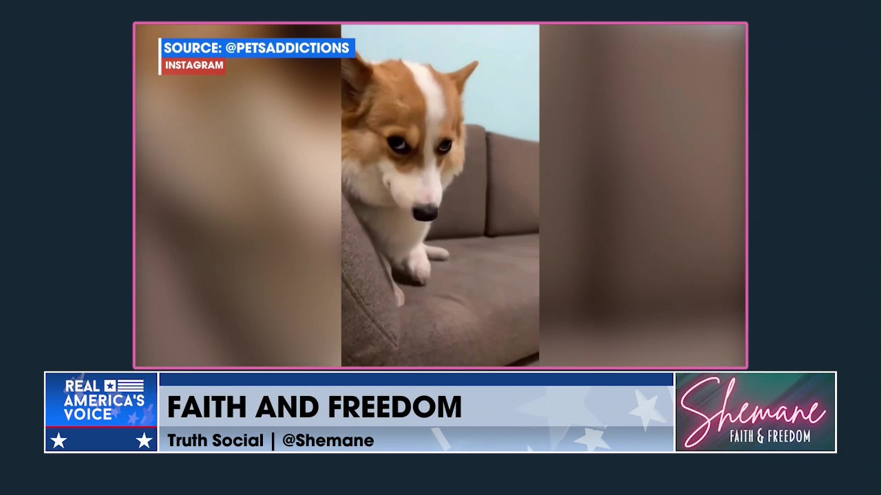 DISCERNMENT IS IMPORTANT