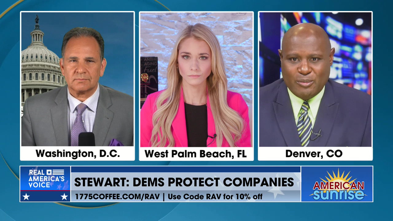 STEWART: DEMS PROTECT COMPANIES