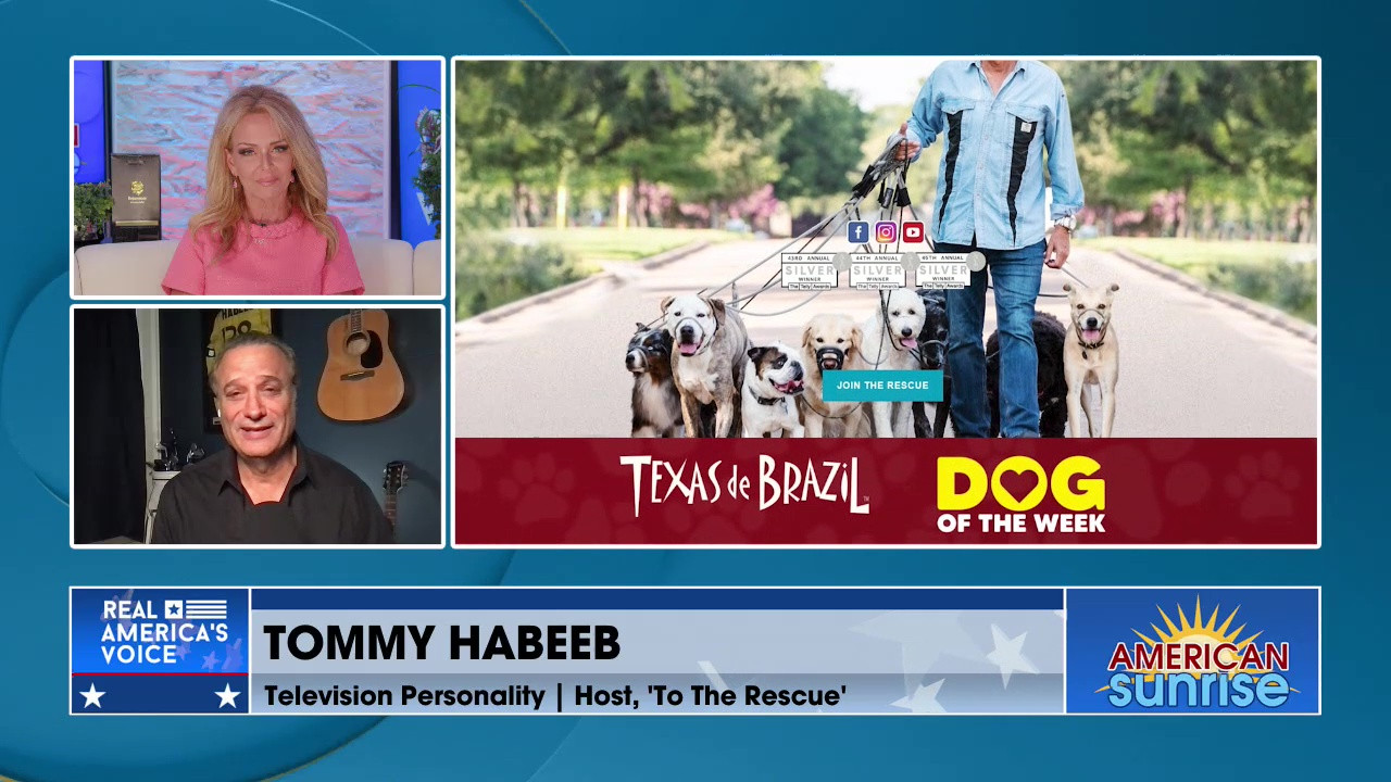 RESCURING AMERICA'S STRAYS AND KEEPING YOUR BEST FRIEND HEALTHY!
