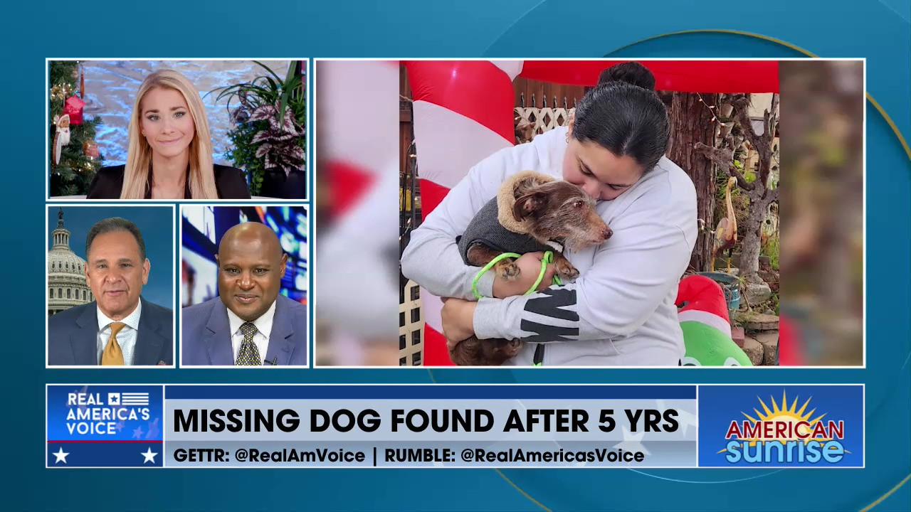 MISSING DOG FOUND AFTER 5 YR