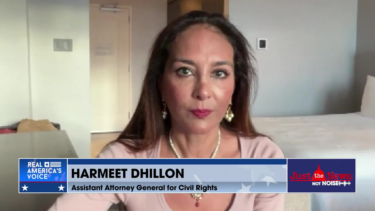 ELECTION INTEGRITY CASES