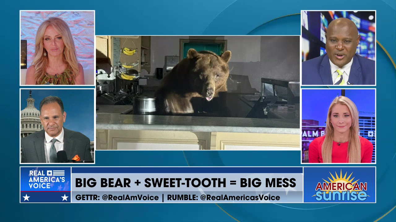 BIG BEAR + SWEET-TOOTH = BIG MESS