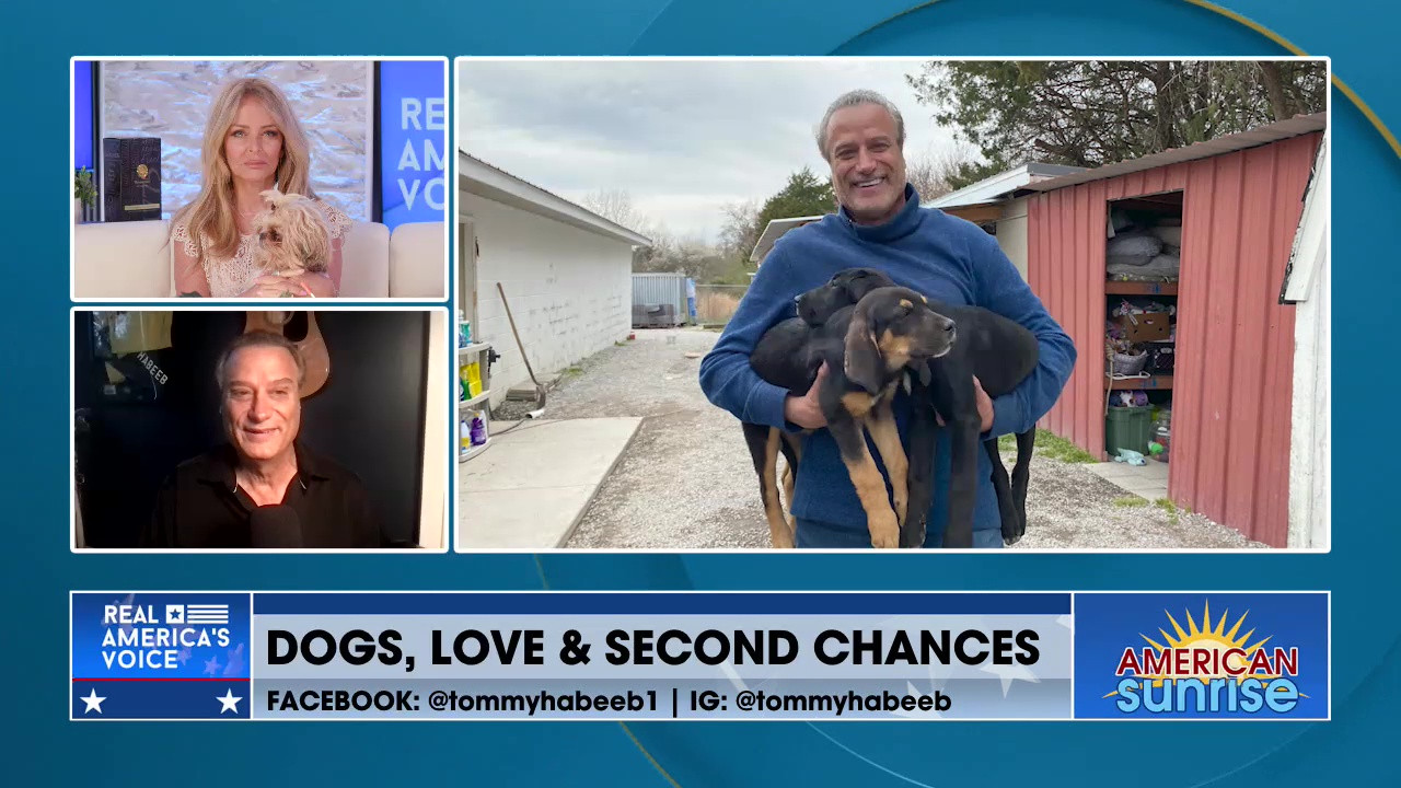 DOGS, LOVE & SECOND CHANCES