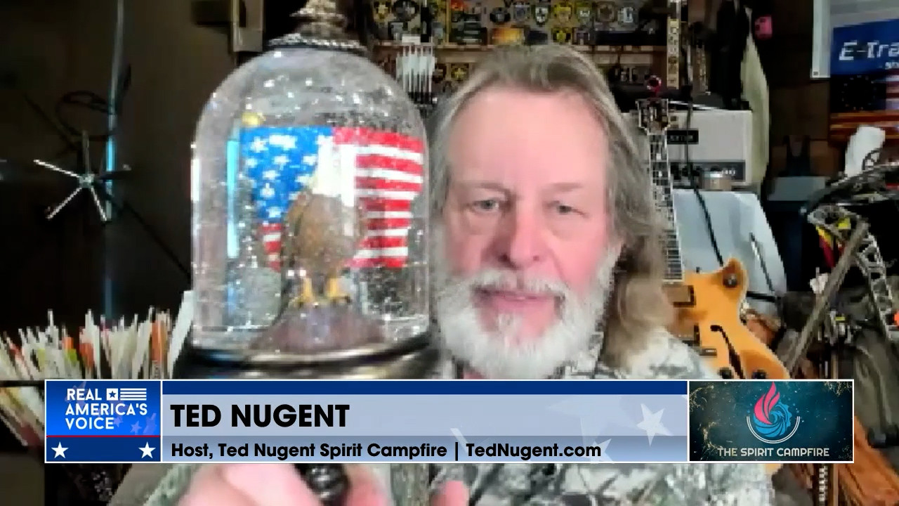 Uncle Ted says we have to protect our elections and enforce voter ID