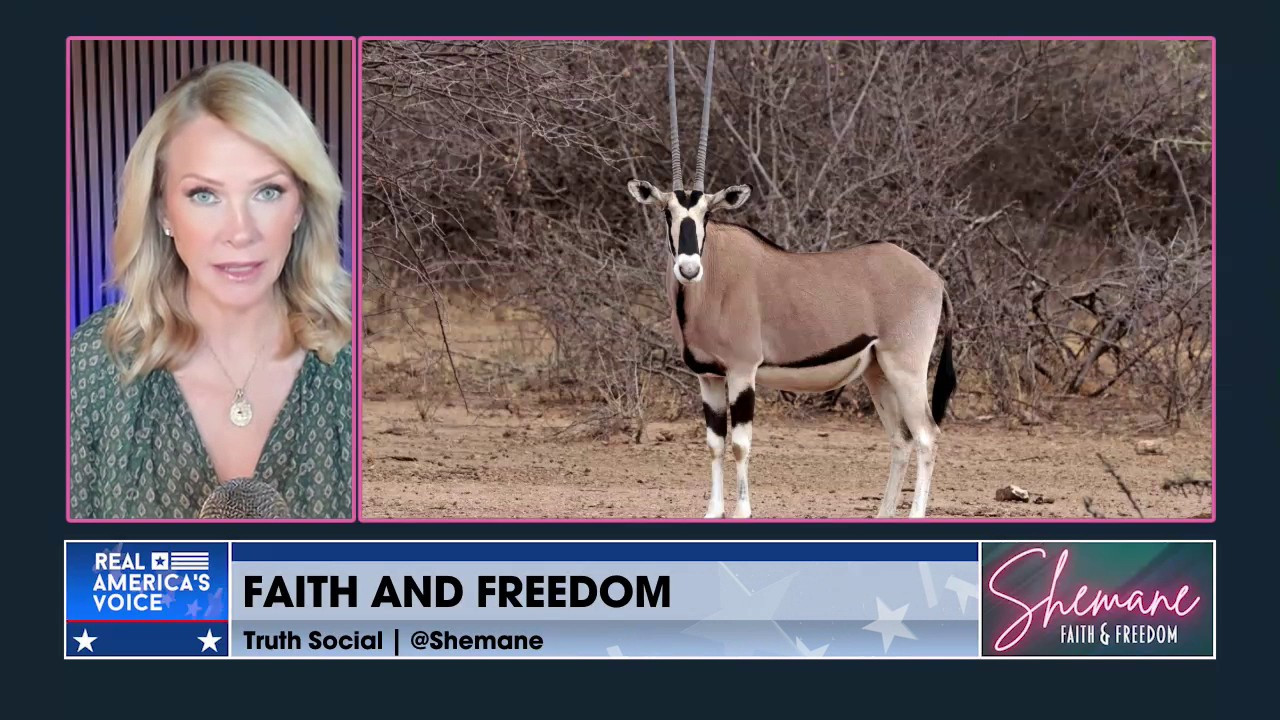 THE IMPORTANCE OF ALWAYS BEING PREPARED