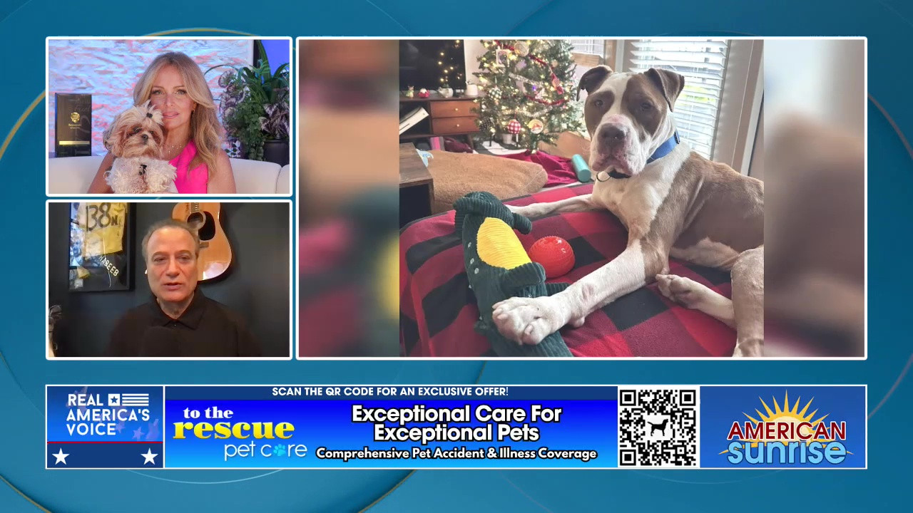 TO THE RESCUE IS HERE TO HELP