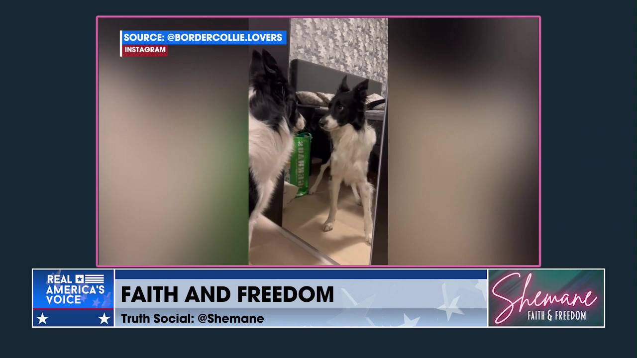 WHAT FAITH TEACHES US ABOUT PERSEVERANCE