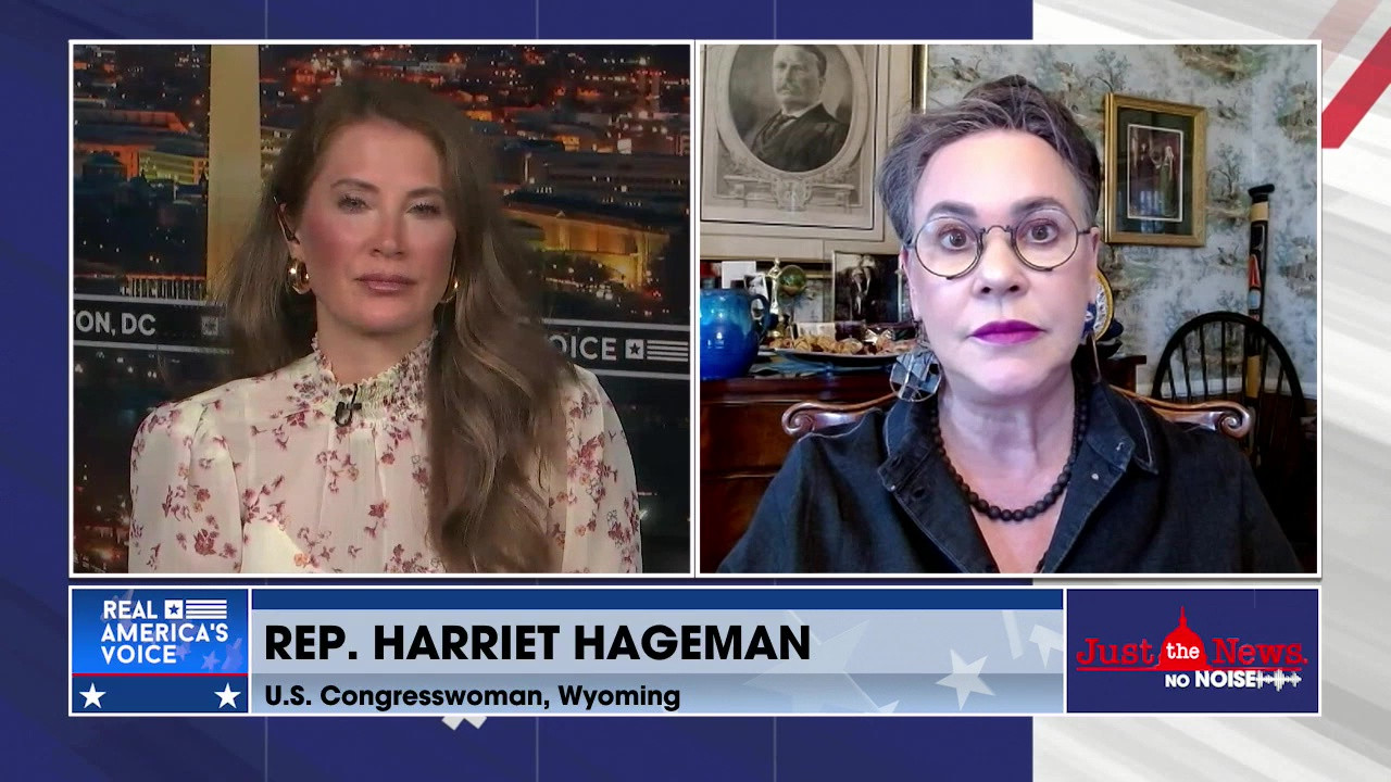 THE IMMIGRATION ISSUE