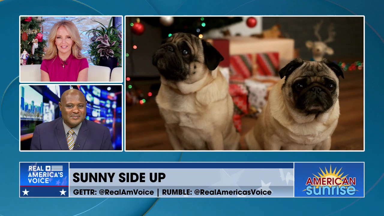 DOG GETS FESTIVE HOLIDAY MAKEOVER