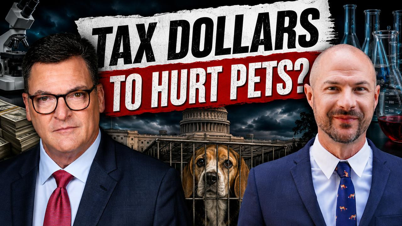 Major Win Against Taxpayer-Funded Animal Testing | with Justin Goodman