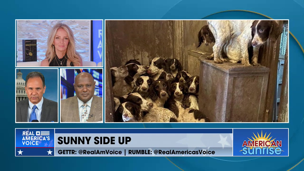 RESCUED DOGS BECOME HEROES