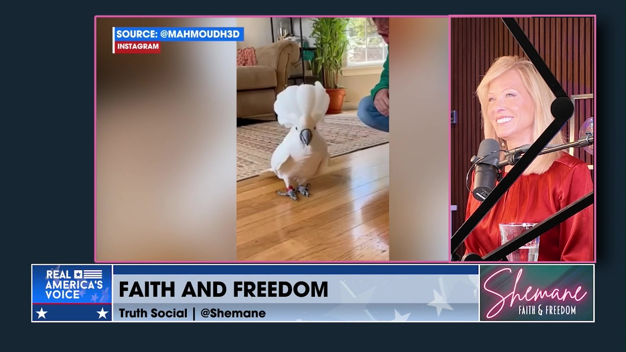 HOW GOD MOVES US FORWARD